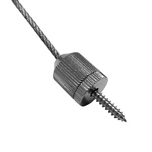 25004